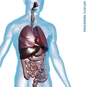 Symptoms of High Blood Pressure